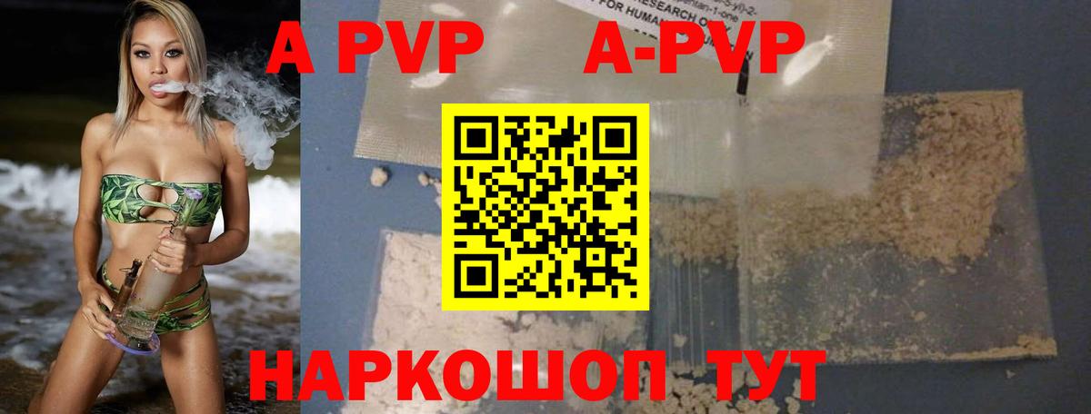 A PVP СК Гусиноозёрск